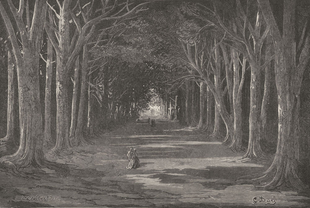 SPAIN. The Queen's Avenue, Aranjuez 1881 old antique vintage print picture